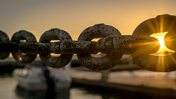 Legal Claim Chain